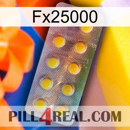Fx25000 new11